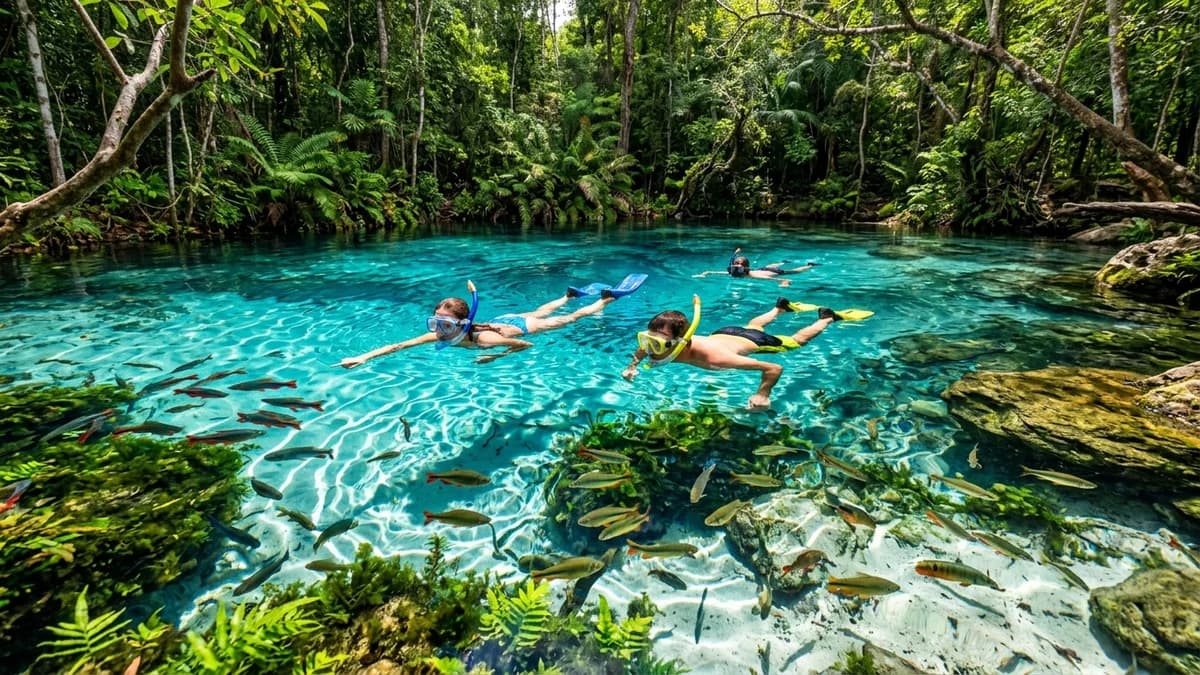 Ecoturistas flutuando de snorkel nas águas azul-turquesa cristalinas da Nascente Azul em Bonito MS cercados por peixes coloridos e vegetação ciliar em setembro