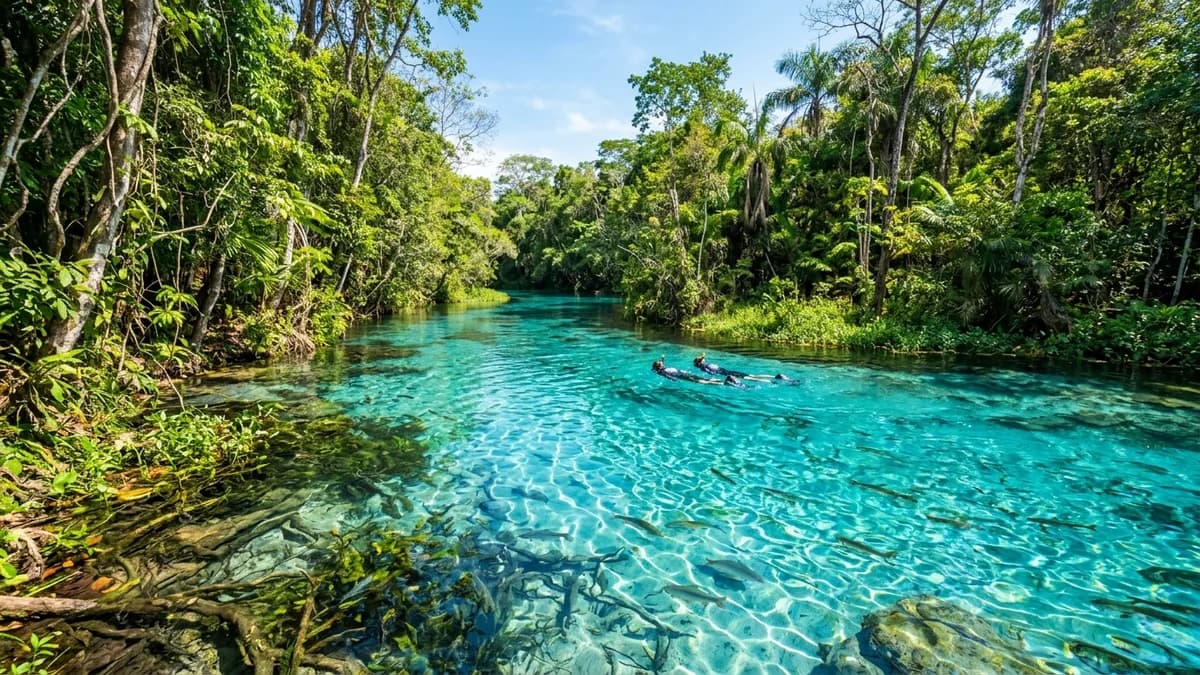 Visitantes realizando flutuação no olho d água azul-turquesa da Nascente Azul em Bonito MS em setembro