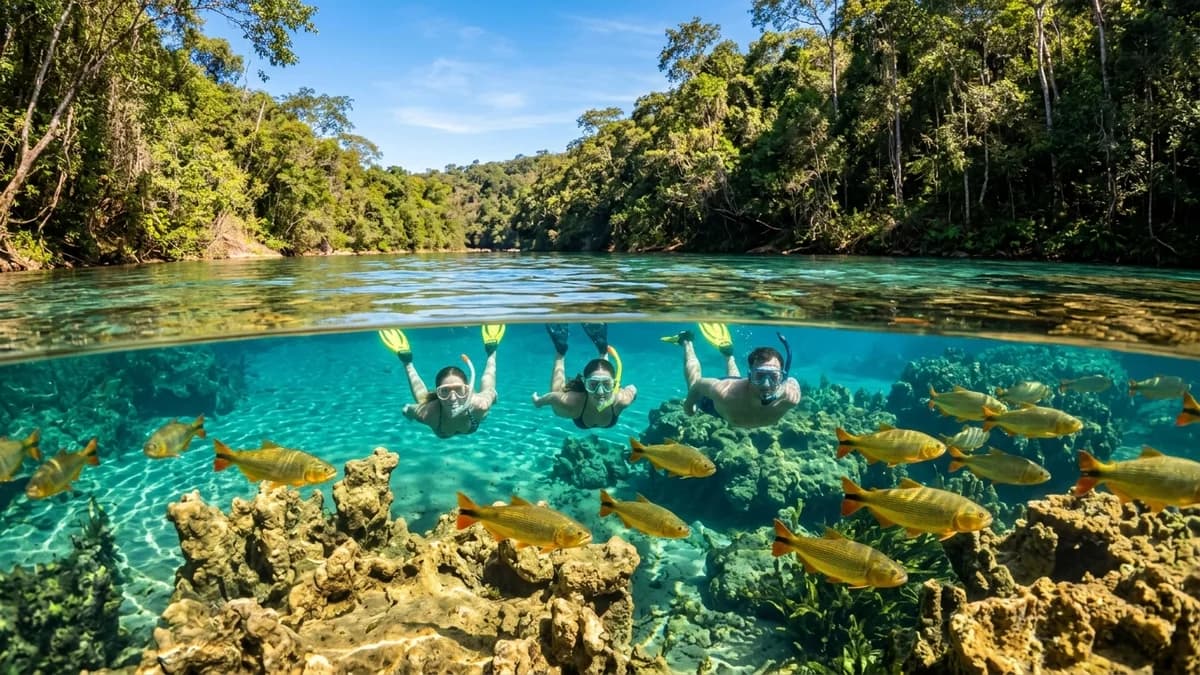 Ecoturistas flutuando nas águas cristalinas do Rio Chapena em Bodoquena MS cercados por peixes Piraputanga e vegetação ciliar em agosto